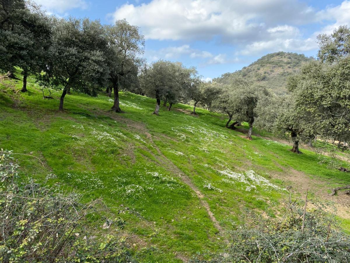 Вилла El Rincon De Арасена Экстерьер фото